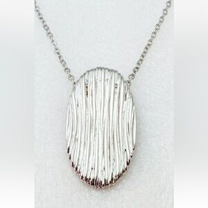 ⚡️Like-New⚡️Silver Streak Necklace
